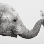 നിങ്ങൾ ‘ഡിജിറ്റൽ ദൈവം’ ആകുന്ന കാലം